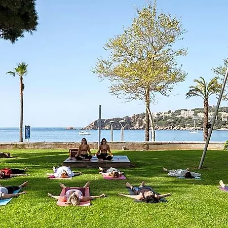 & Wellness 4*