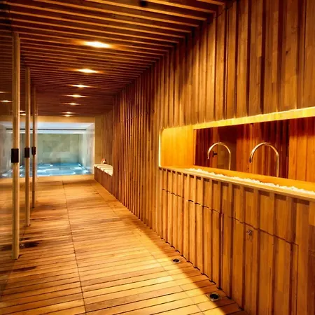 萨加罗健康水疗酒店 酒店 4*